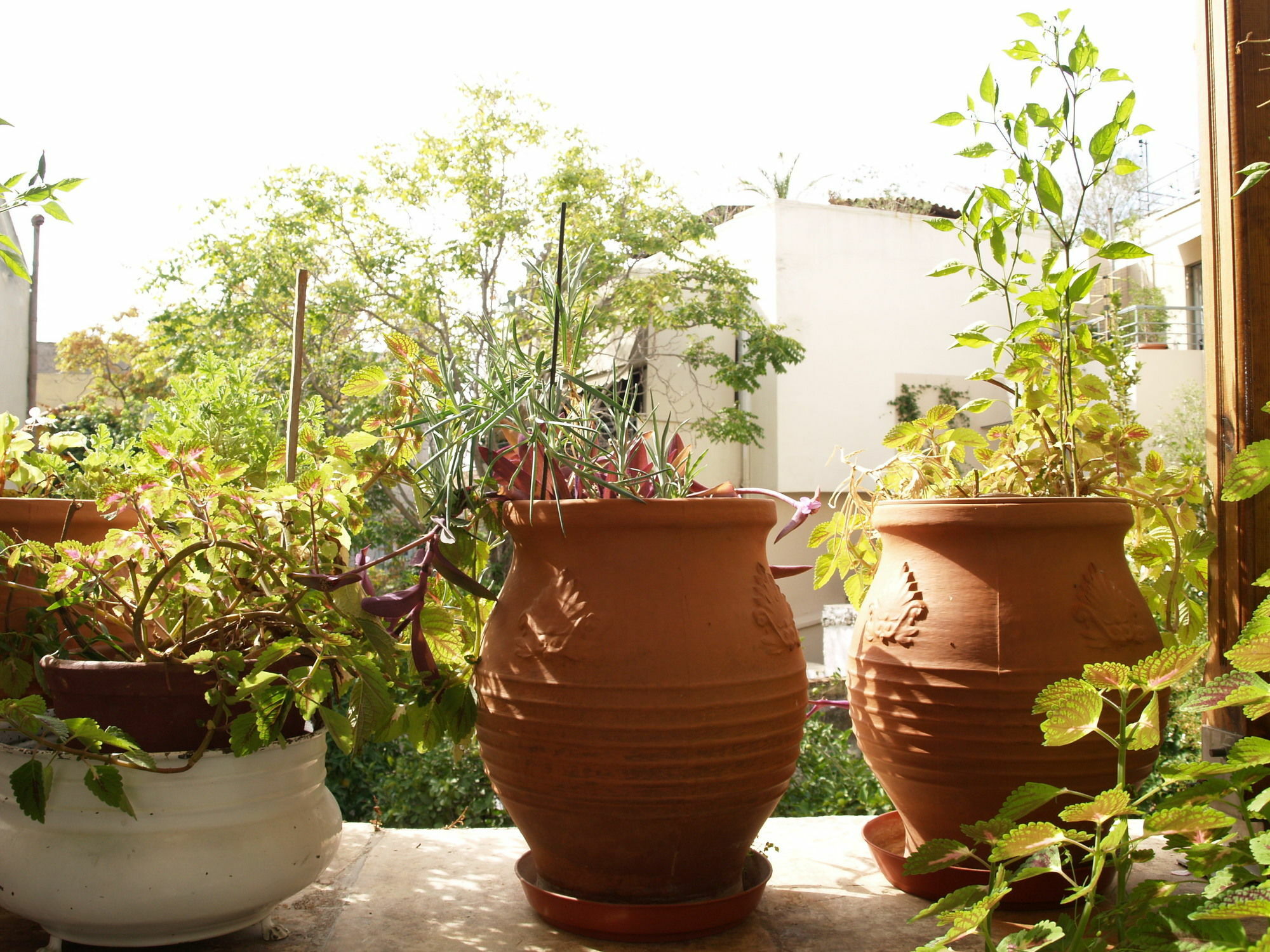 Acropolis House Atenas